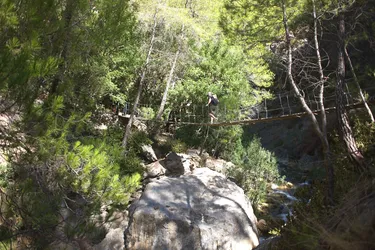 L1060388_web.jpg