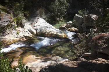 L1060390_web.jpg